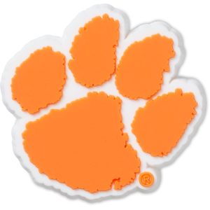 Clemson University